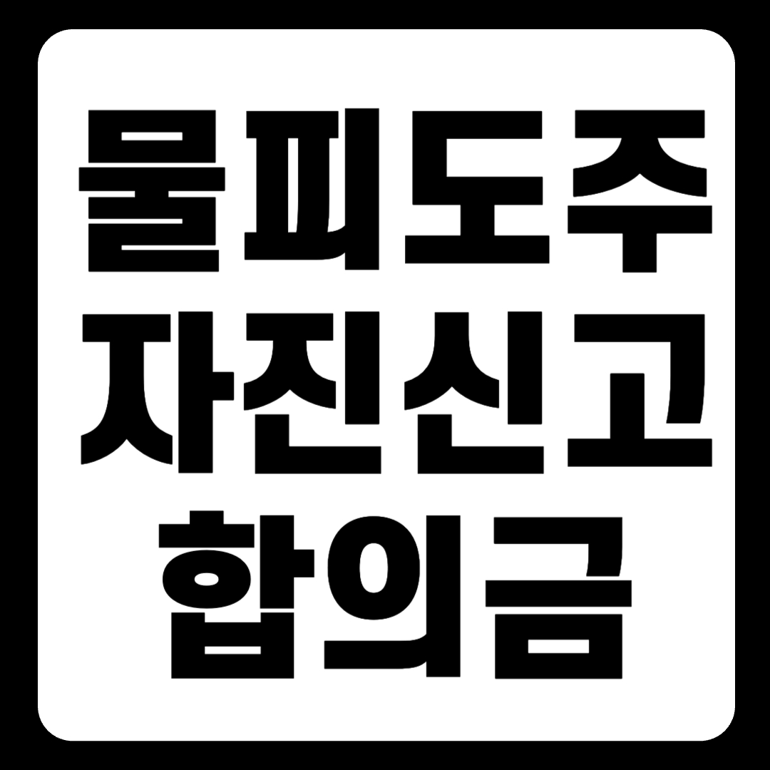 물피도주 자진신고 후기 몰랐다 합의금 못잡음 신고 취하(+2024)