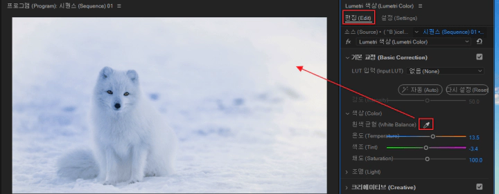 화이트-밸런스-적용