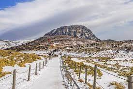 겨울여행 떠나고 싶은 곳 베스트 4. 제주도