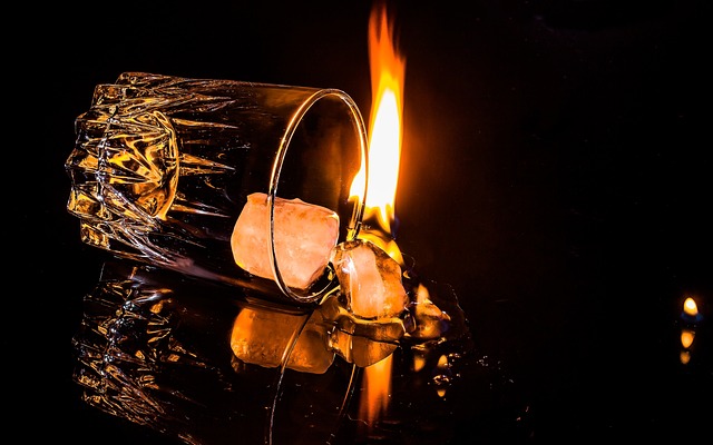 염증의-정의와-원인