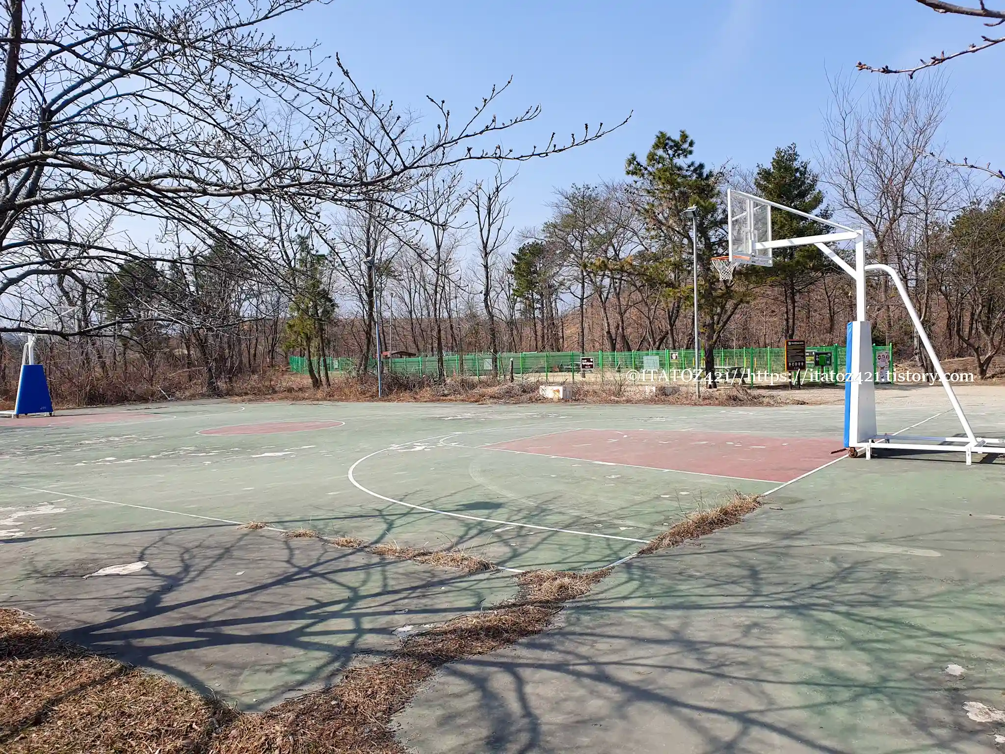 영랑호 농구장