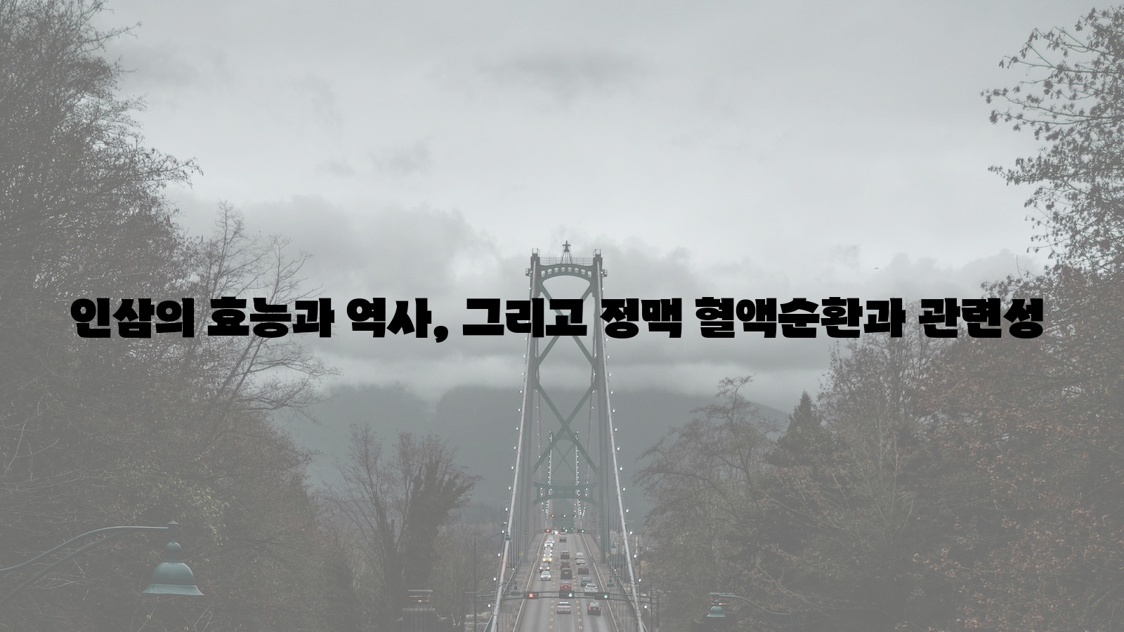 인삼, 효능, 역사, 정맥, 혈액순환, 관련성