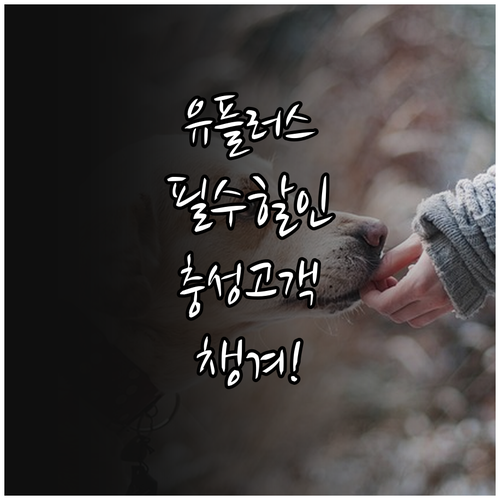 유플러스 충성고객이라면 꼭 챙겨야 할..