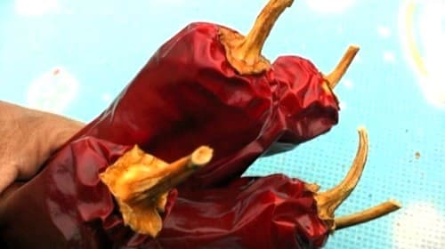 태양초-건고추-화건초-구별방법