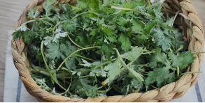 간에 좋은 음식