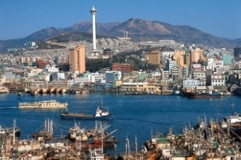 2025 부산온나청년패스 신청방법 및 할인혜택 총정리