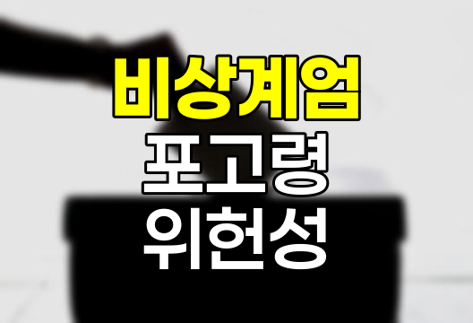 윤석열 비상계엄 포고령의 위헌성