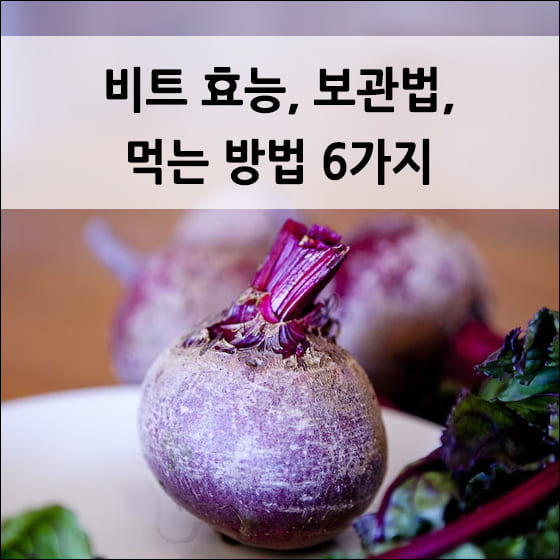 보라색 비트가 하얀 접시에 올려져 있음