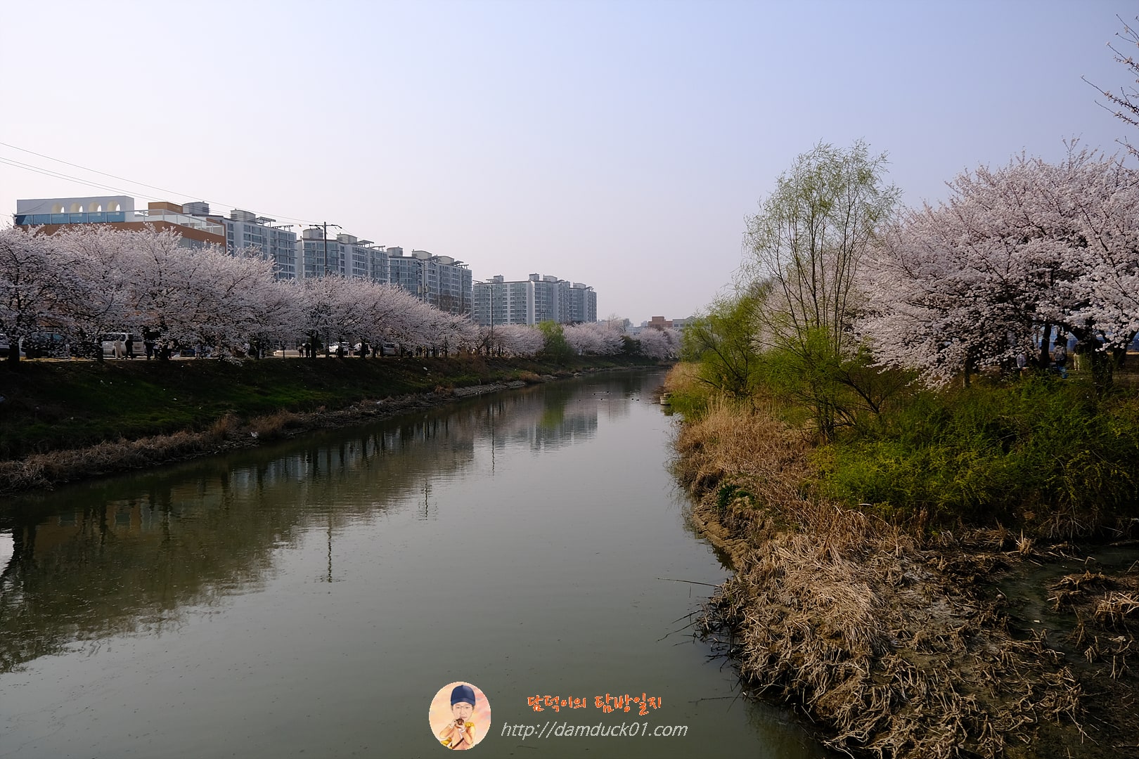 황구지천