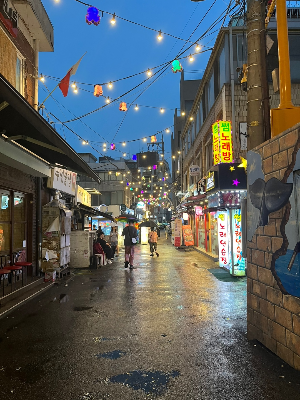 천호동 쭈꾸미 골목