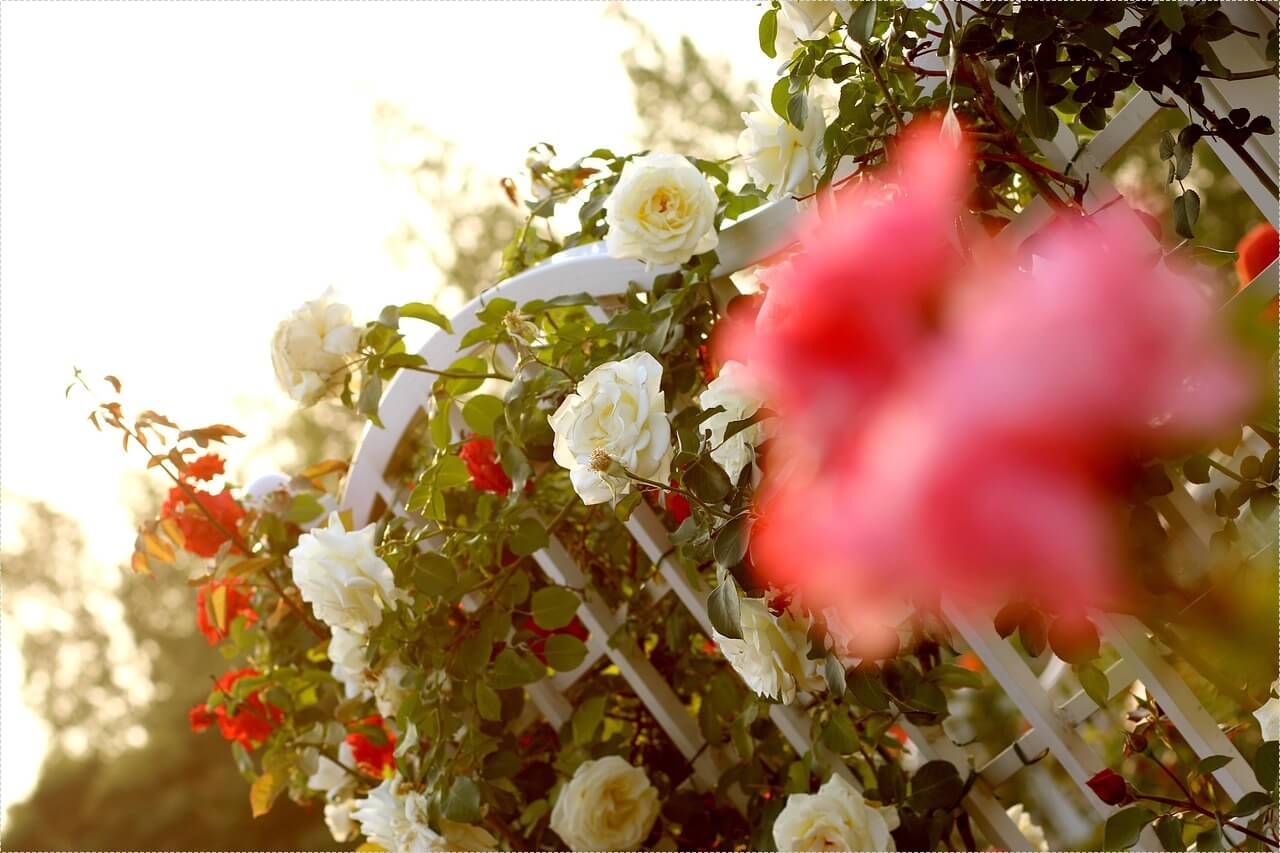 하나은행 정기예금 금리