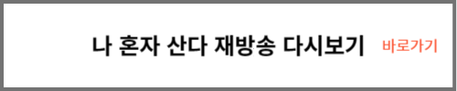 나 혼자 산다 재방송 다시보기