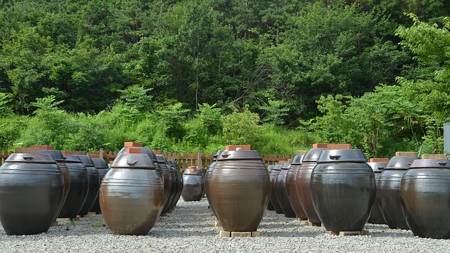 청국장과 된장찌개의 궁합: 더 맛있게 즐기는 방법