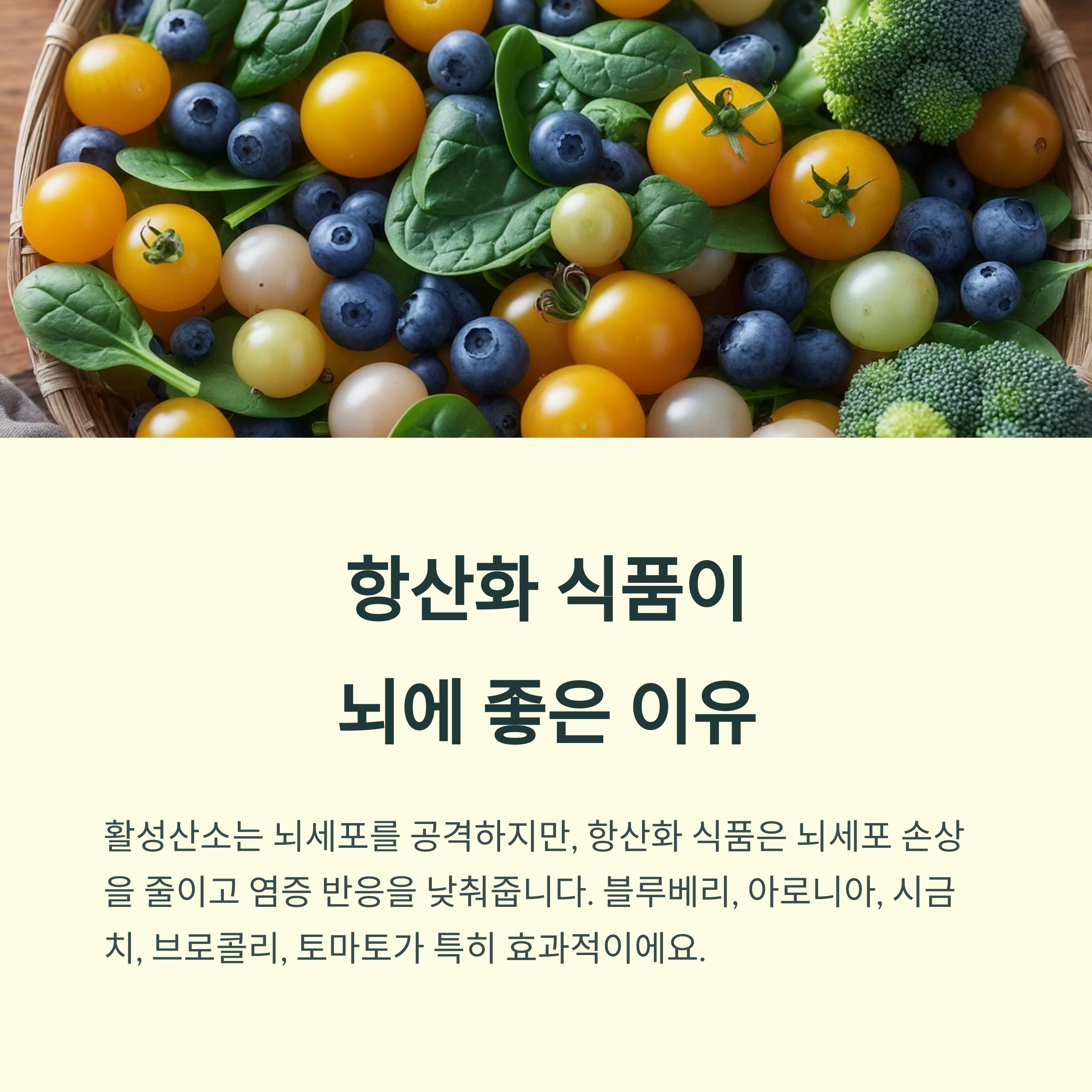 항산화 식품이 뇌에 좋은 이유