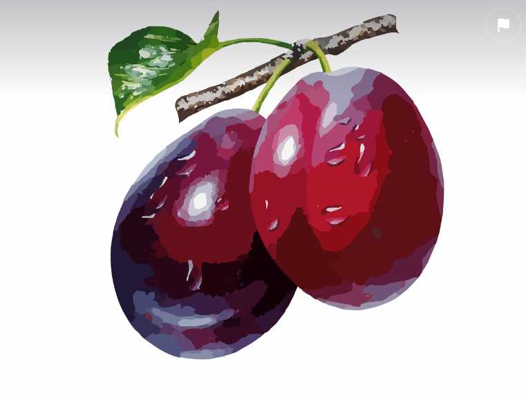 자두 여름 과일 종류 여름철 수분 보충에 좋은 과일 Top11