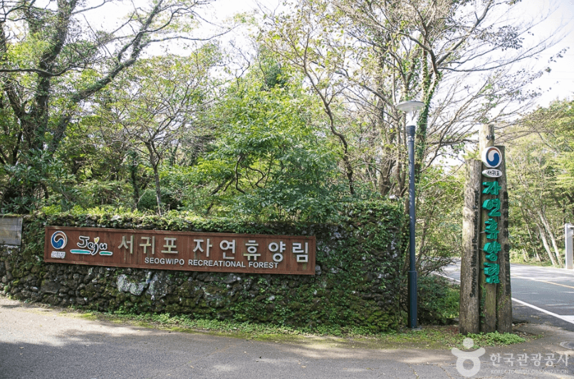 서귀포자연휴양림