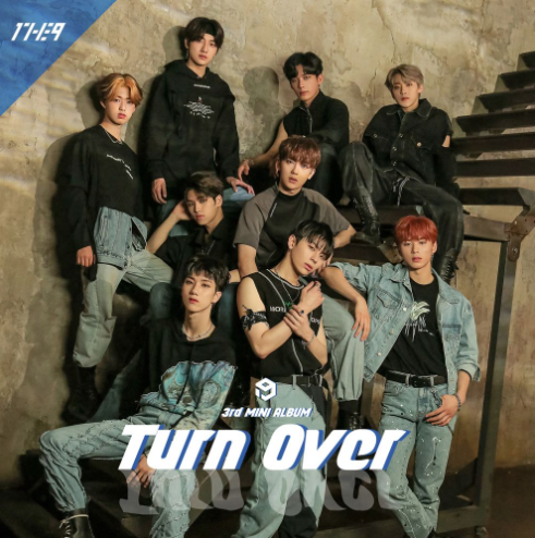 원더나인-사진