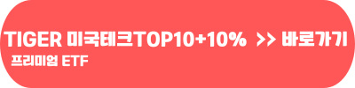 TIGER 미국테크TOP10+10% 프리미엄 ETF 월배당