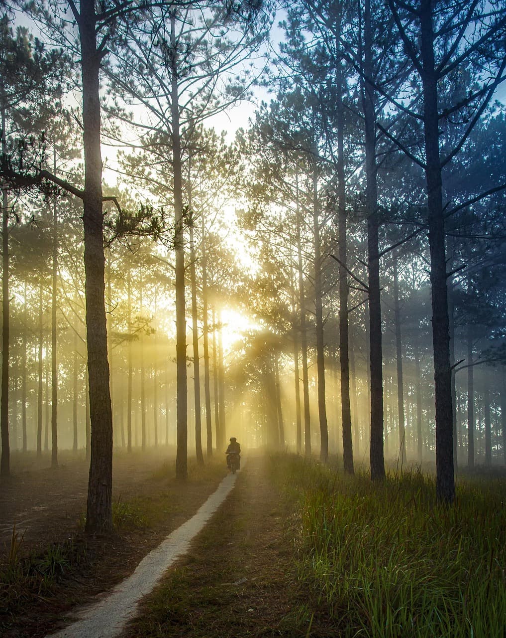 환절기마다 몸이 무겁고 피곤한 이유, 면역력 떨어졌다는 신호일까요?