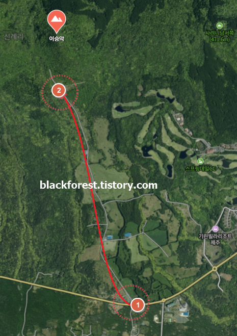 이승악 오름 삼나무 포토존 위치