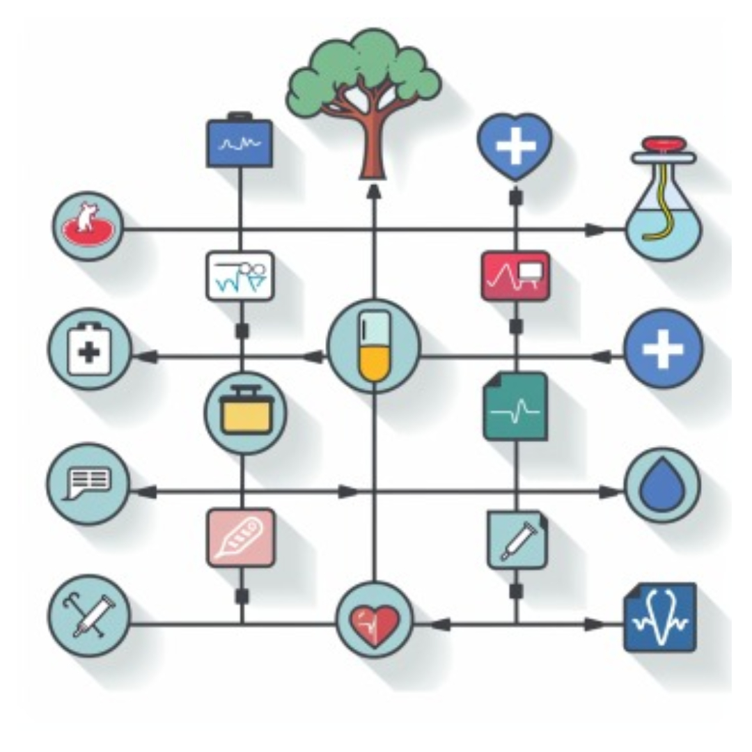 고지혈증과 관련된 사진입니다.