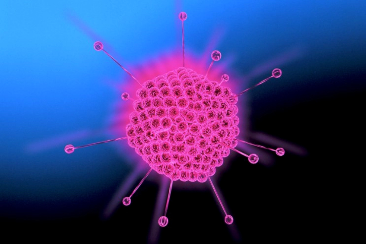 아데노바이러스 증상 전염 검사 등 눈꼽감기 완벽정리