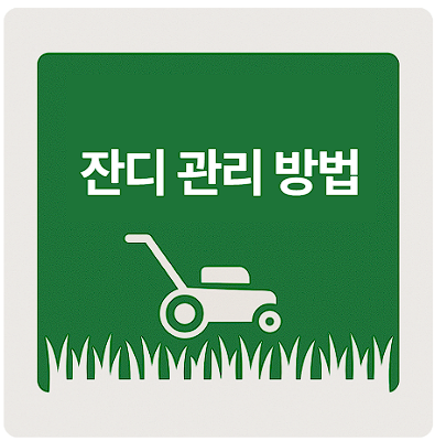 잔디 관리 방법, 잔디 깎는 주기, 잔디 제조제, 물주는 법, 비료