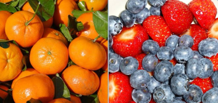 한국의항산화과일3종사진