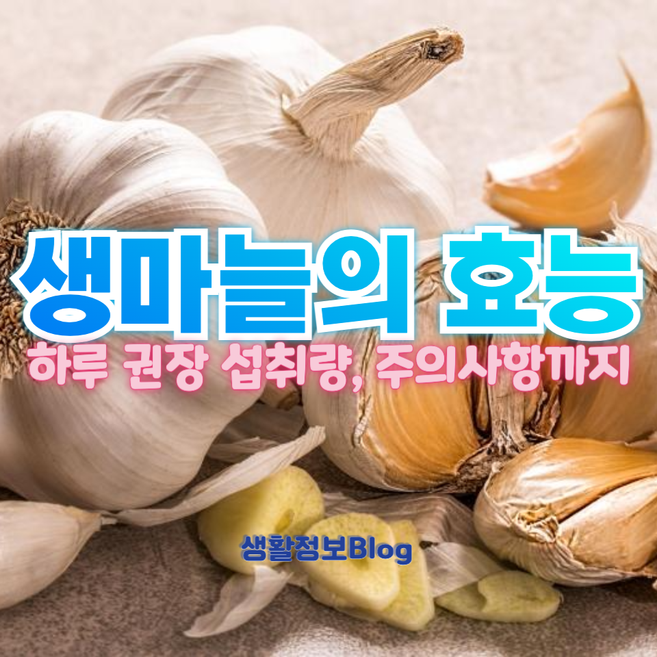 생마늘의 효능