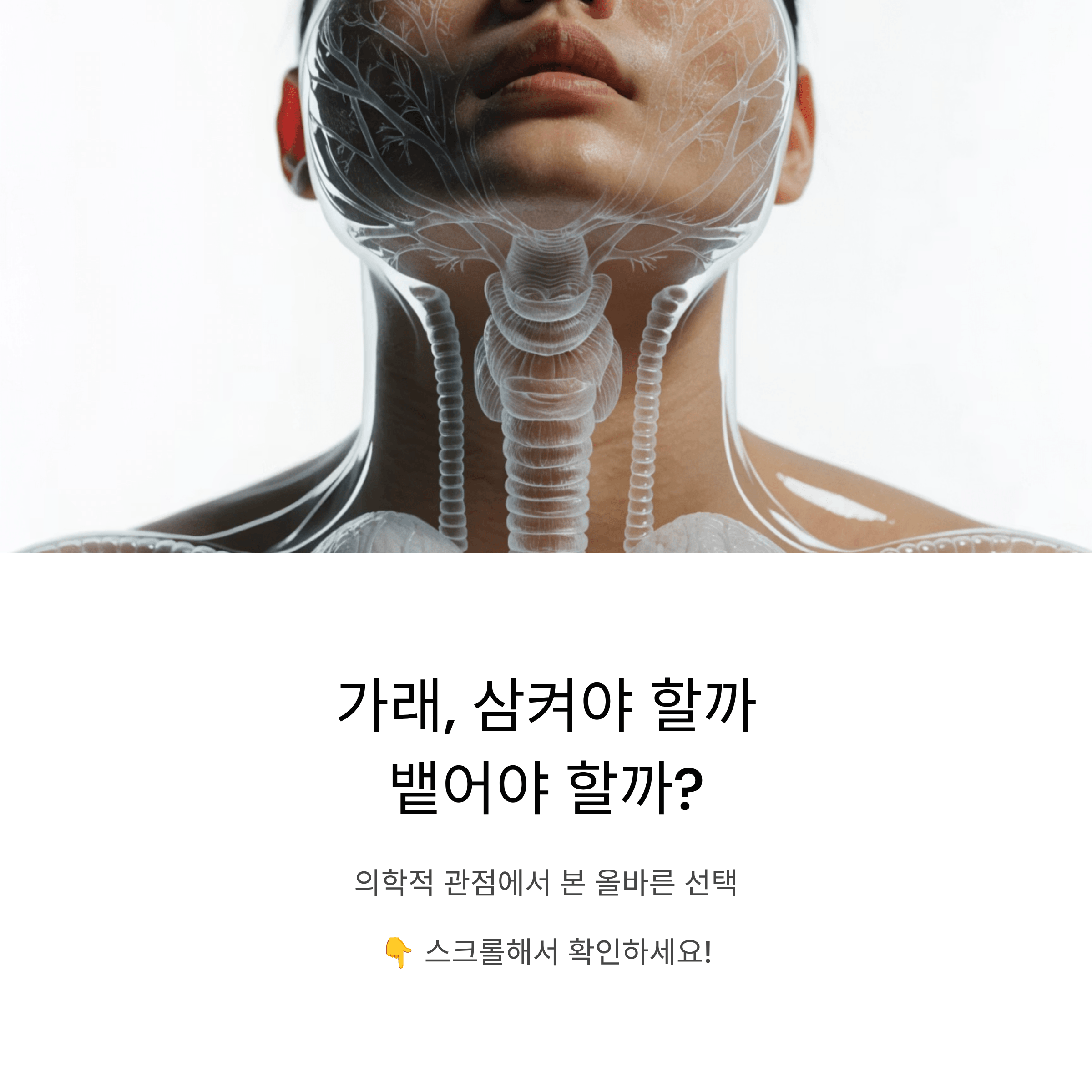 가래 삼키기 vs 뱉기, 의학적 관점에서 본 올바른 선택은