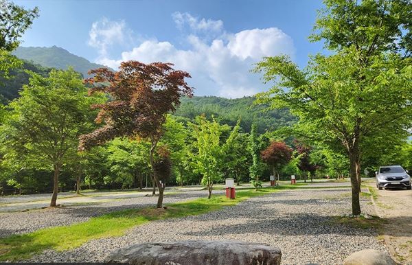 깊은골캠핑장_사이트