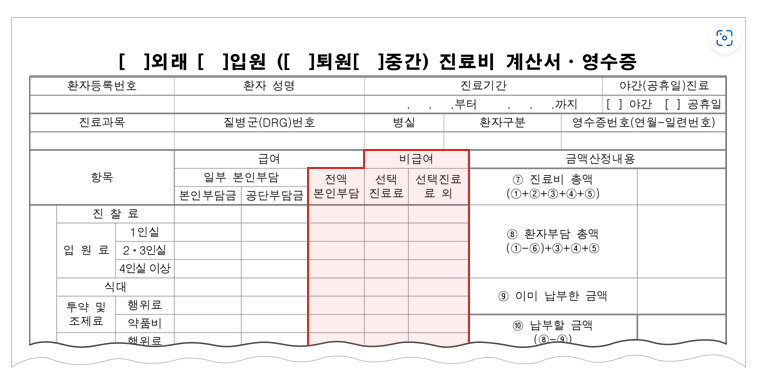 진료비 확인 서비스 내용