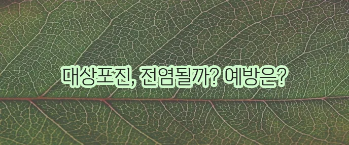 대상포진 전염성 꼭 알아야겠죠 대상포진 증상과 예방접종까지!