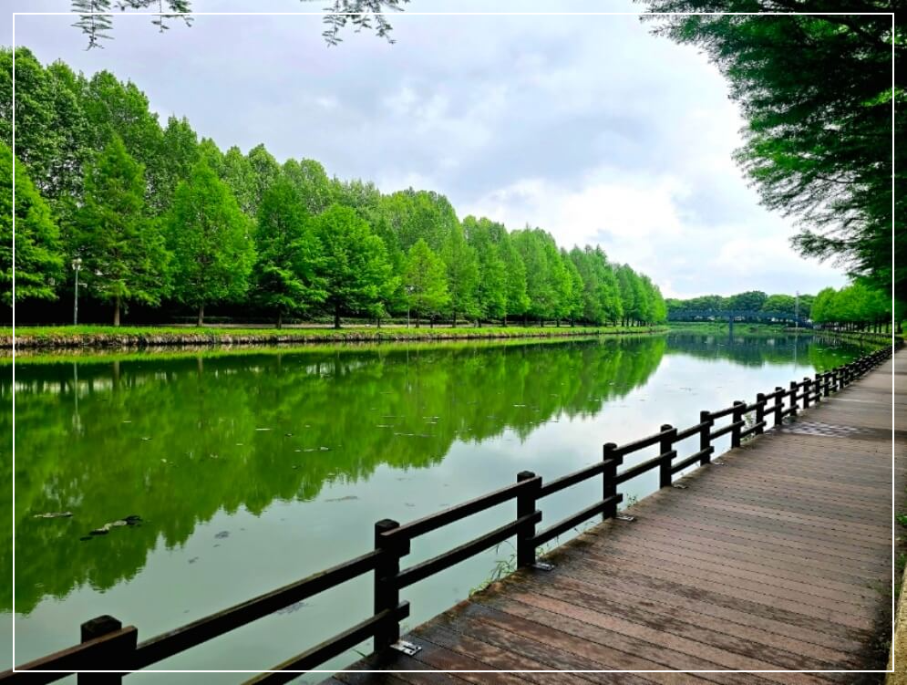 담양 가볼만한곳 관방제림