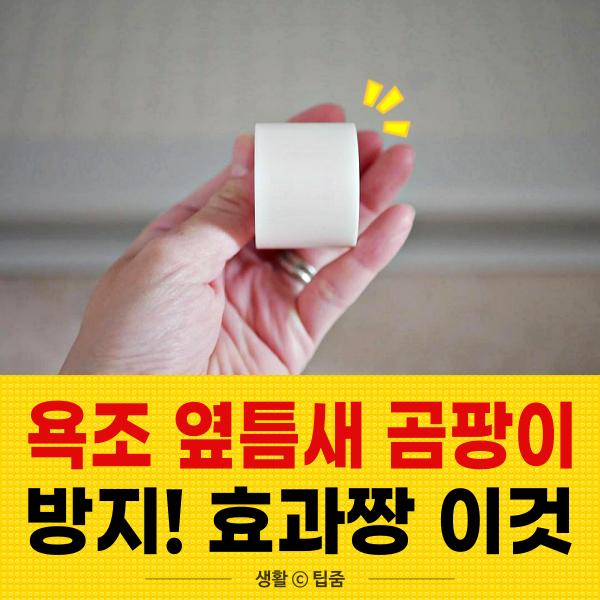 욕조 옆틈새, 곰팡이 방지 테이프, 팁줌