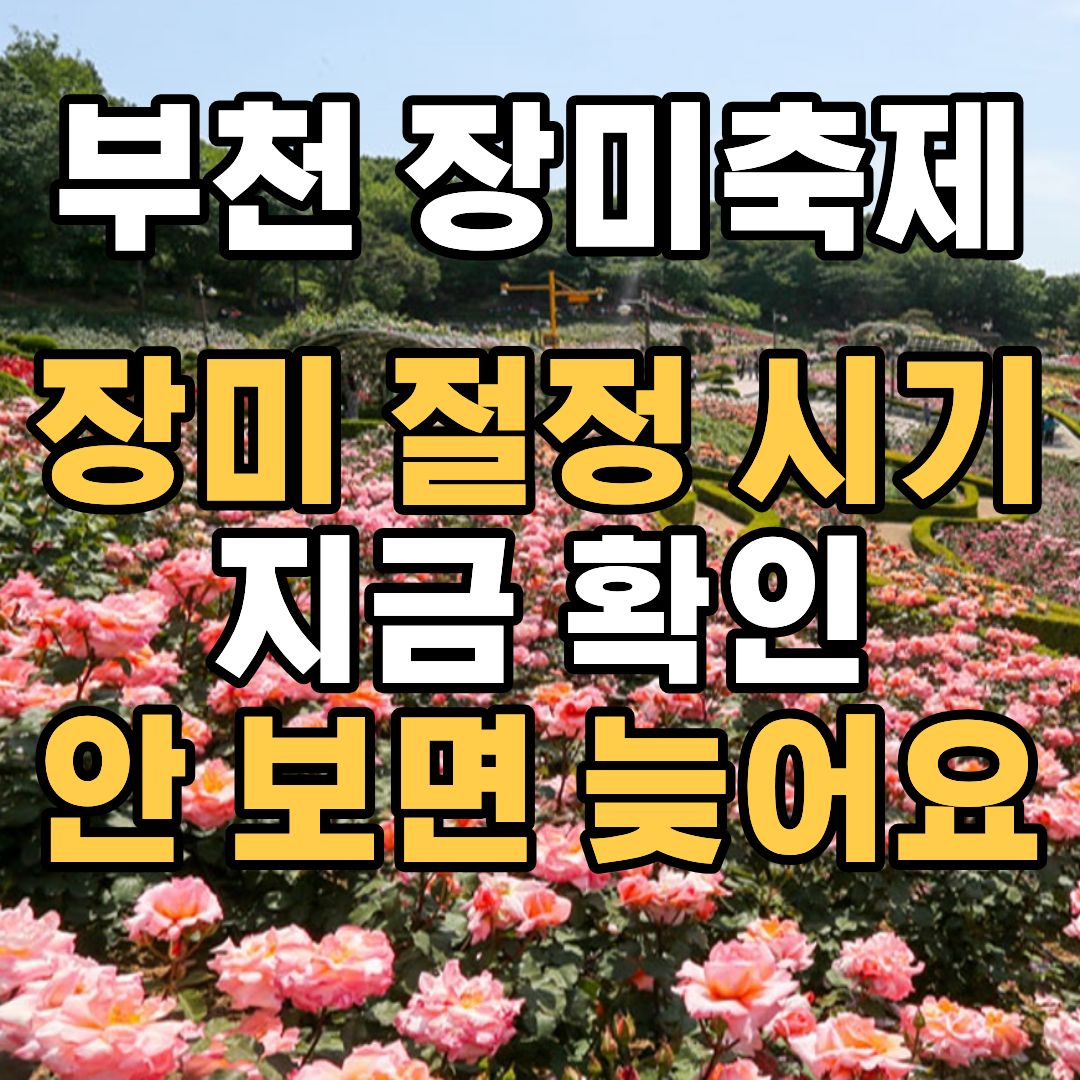부천 장미축제 날짜 개화시기 주차장 가는길 정리