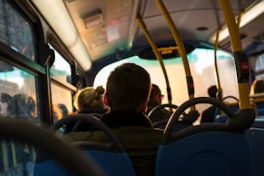 고령운전자 운전면허증 자진반납