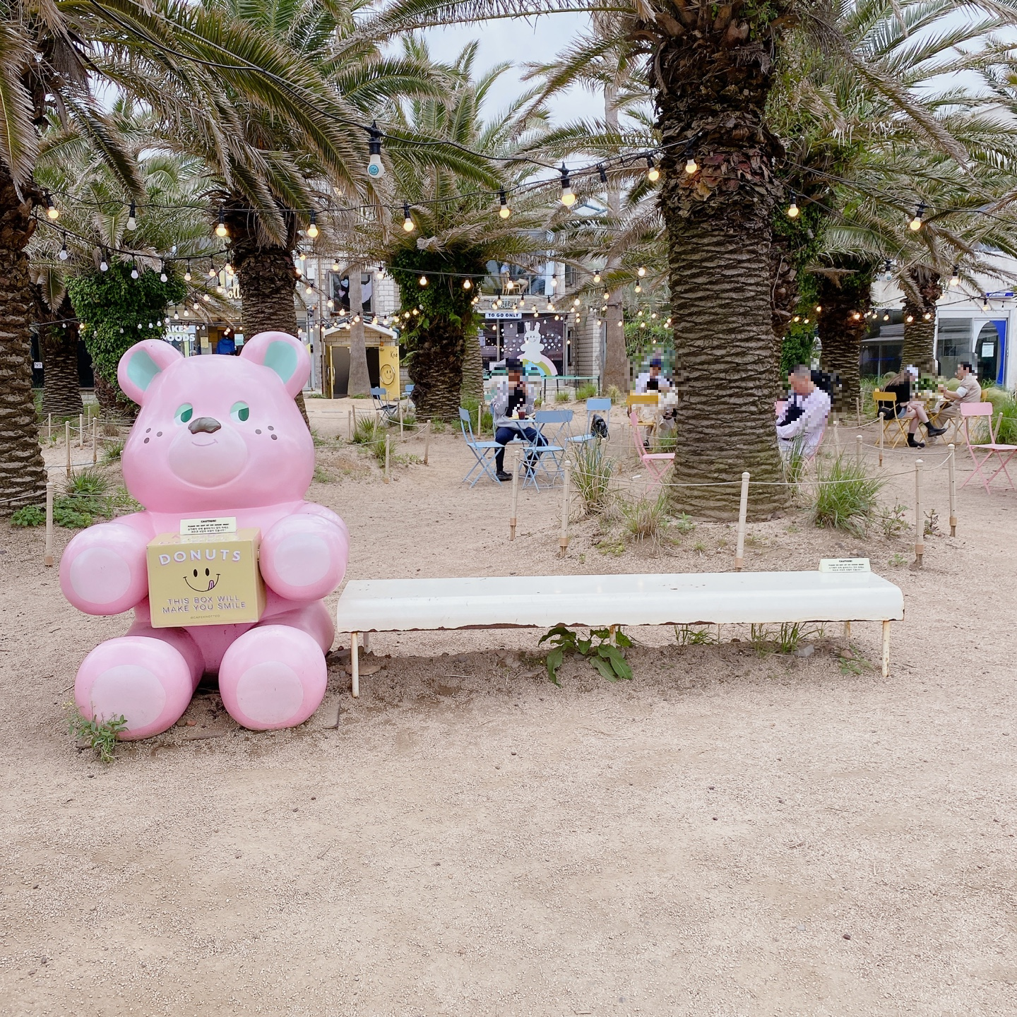 노티드 도넛 제주 애월 핫플레이스 우유크림 도넛 Knotted JEJU