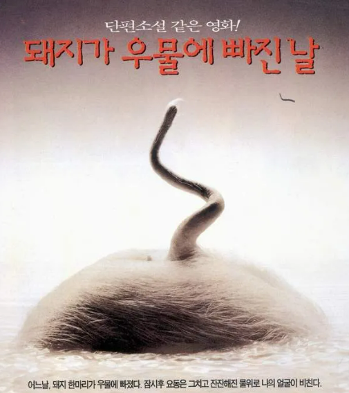 한국 독립영화의 시작점, '돼지가 우물에 빠진 날'