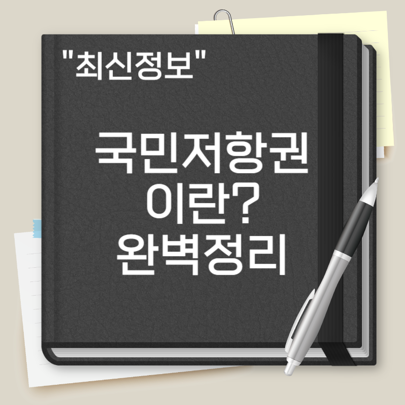 국민저항권