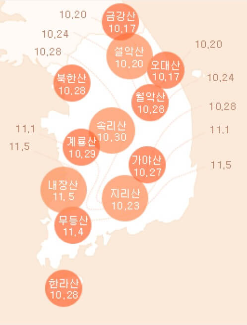 화담숲 단풍시기