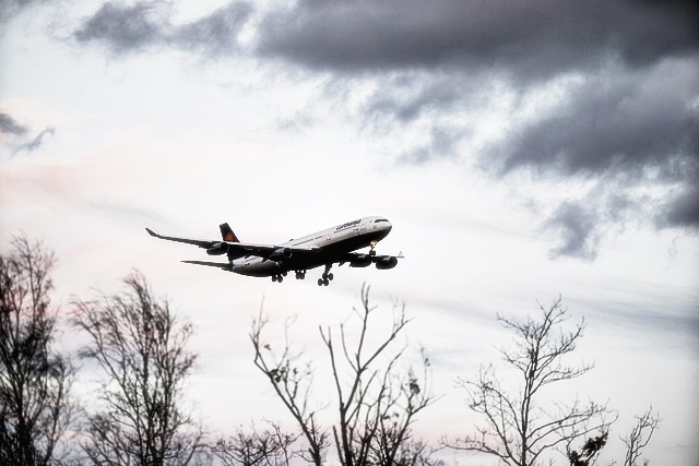 PDF 뷰어 다운로드