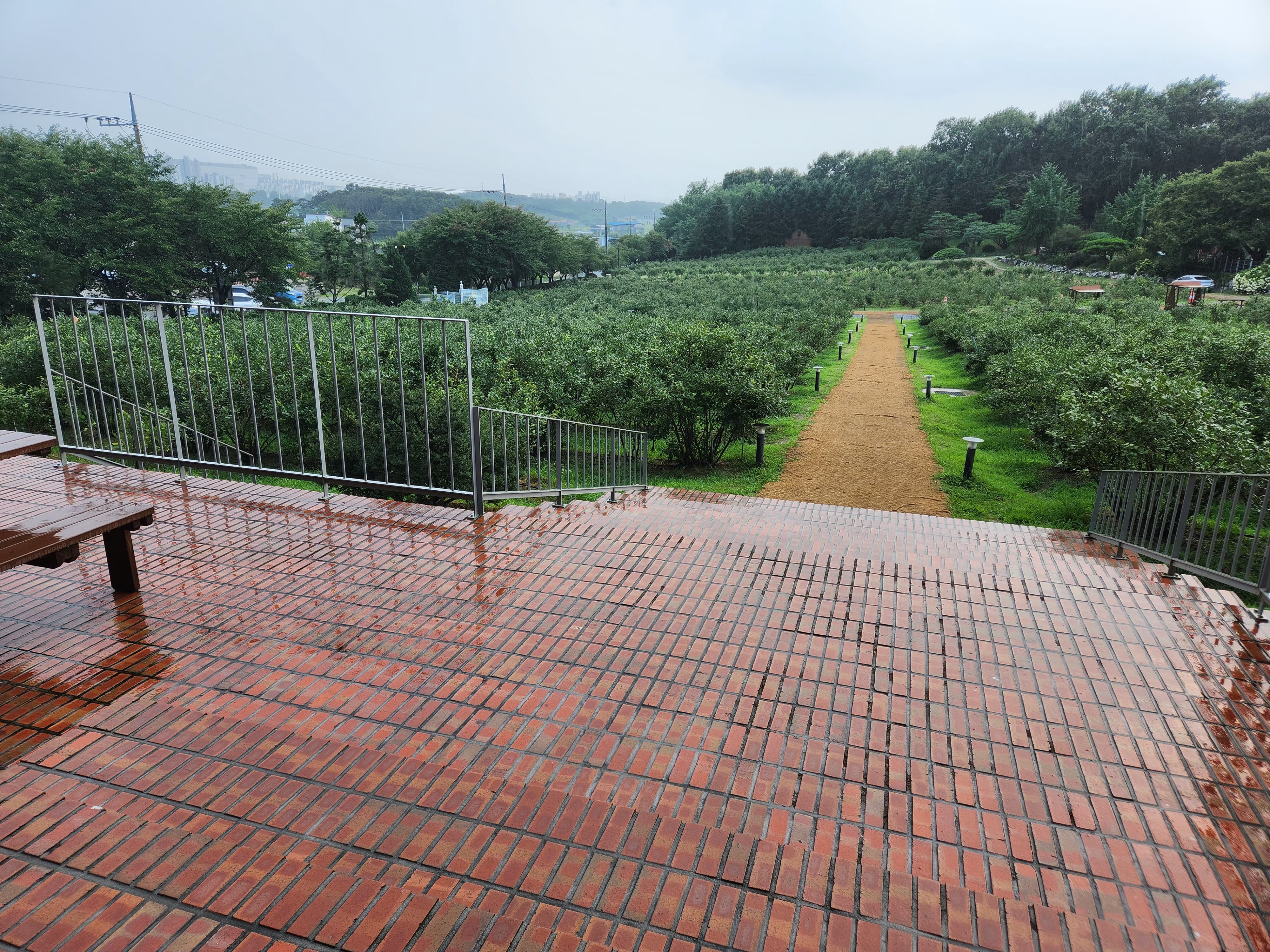 더반올가닉농장