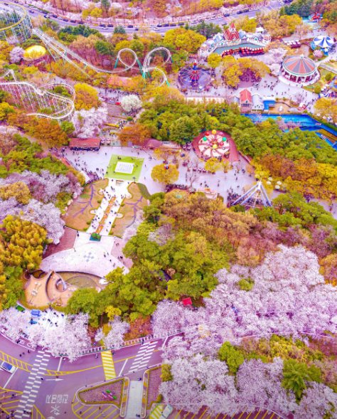 이월드 블라썸 피크닉2