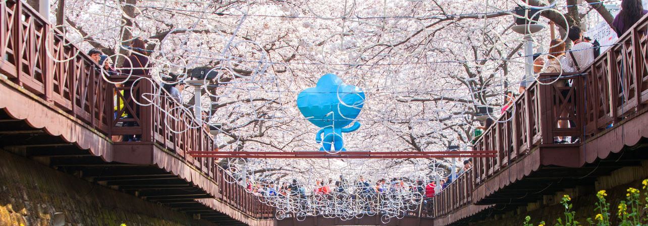 2025 진해 군항제 프로그램 주차정보 숙박정보