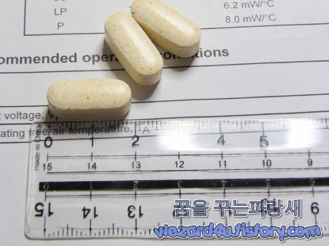 21st Century 원 데일리 남성 건강 100정 내용물