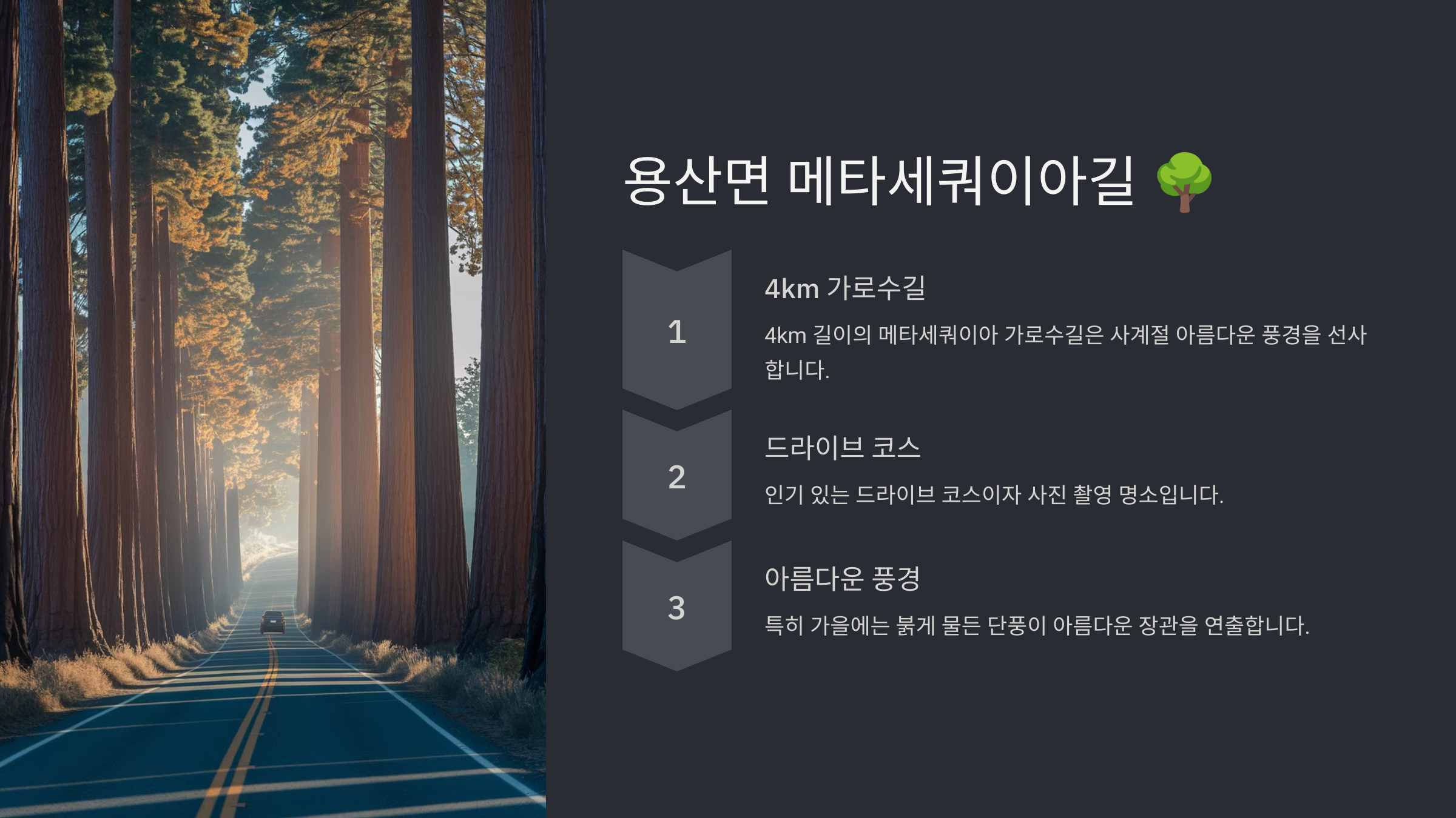 장흥 가볼만한곳 베스트10