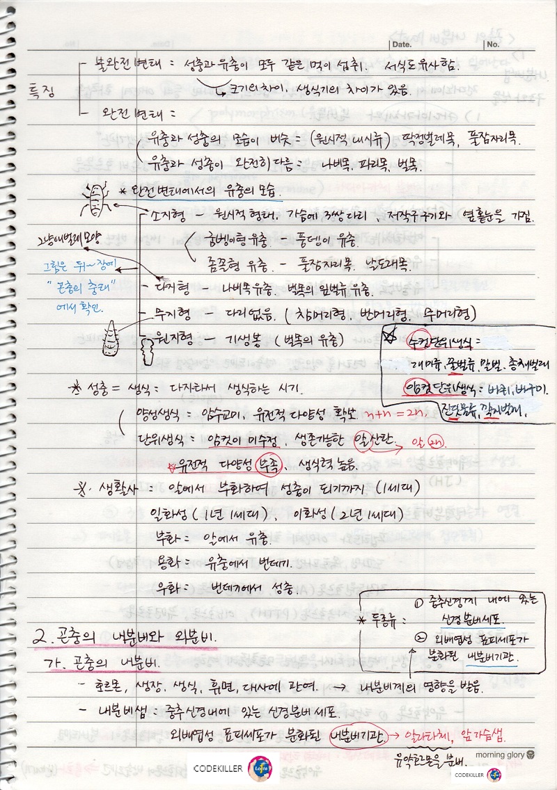 불완전변태&#44;완전변태