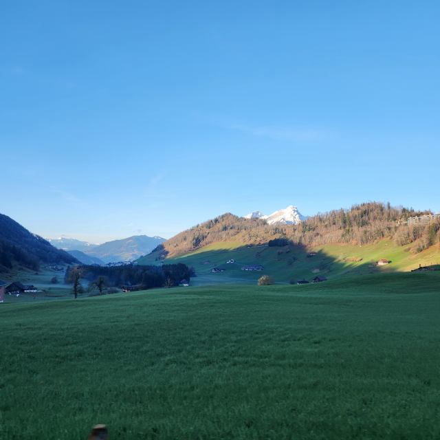 스위스 루체른 숙소 마지막날 아침