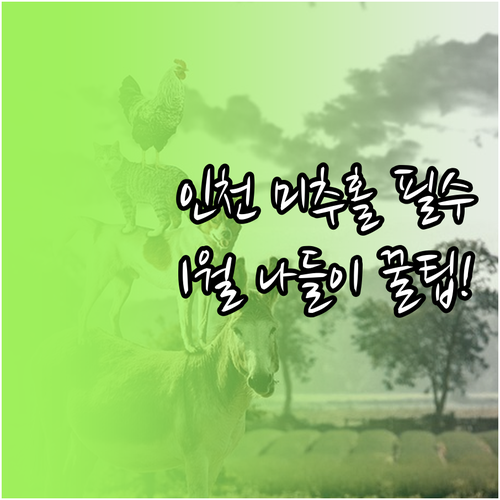 1월 인천 미추홀구 실내외 나들이 정..